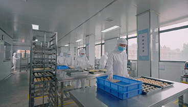 企業宣傳片拍攝制作—立德西餅